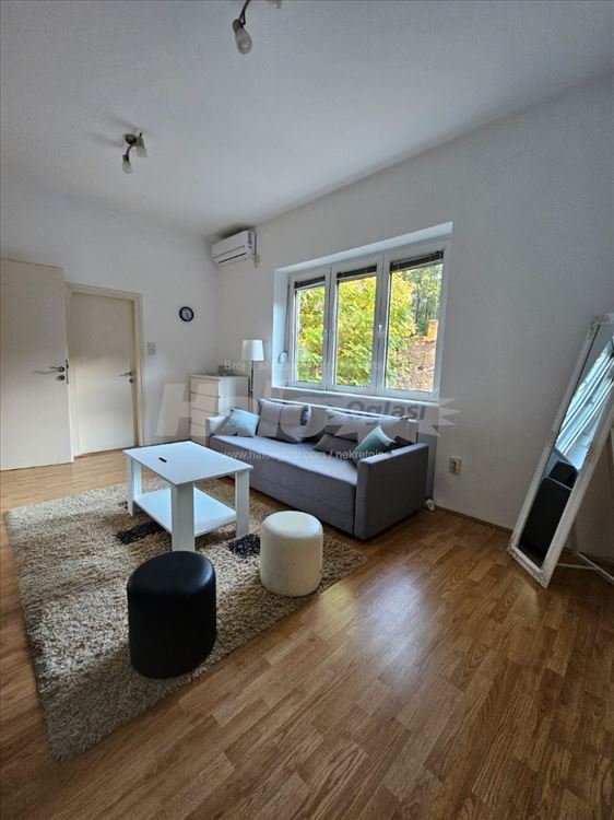 Savski Venac - Bircaninova - Centar - 27m² — 5