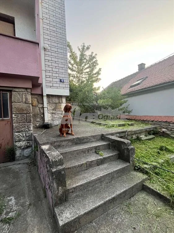 Senjak, ulica Vojislava Vučkovića, veritkala kuće — 2