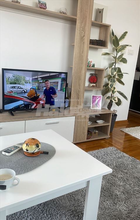 Stan 40m2 sa pogledom na ceo Beograd — 4