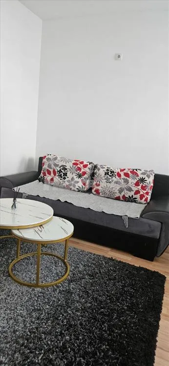 Stan na Ledinama 40m2 — 3