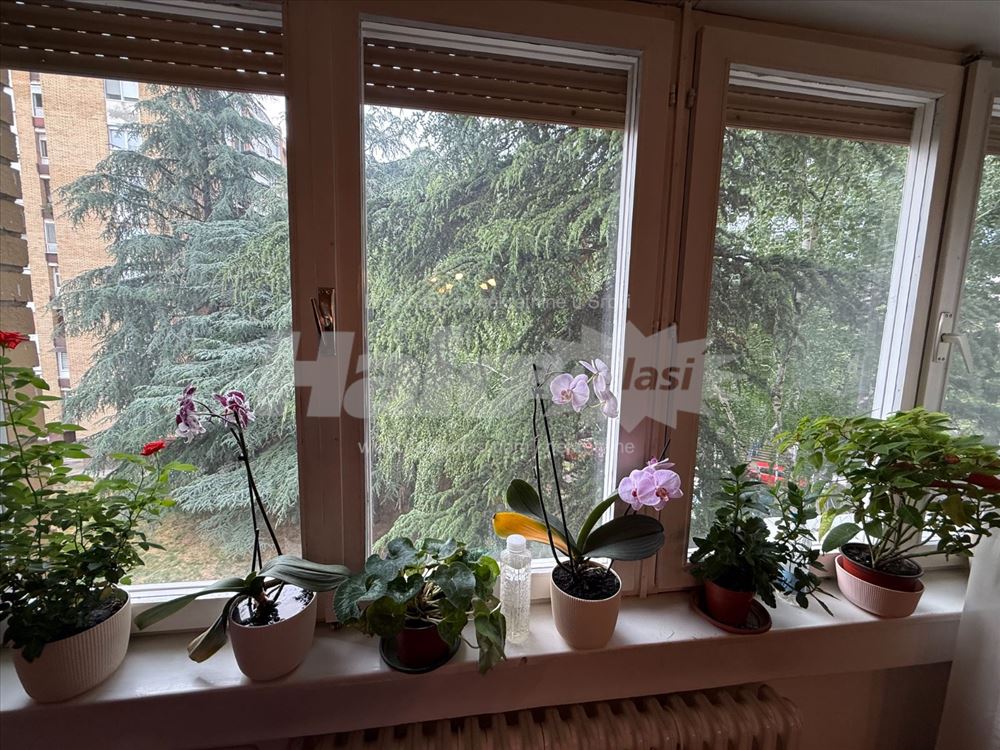 Stan na odličnoj lokaciji, odmah useljiv — 4