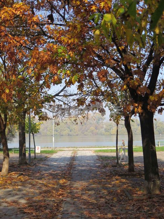 Stan pored reke, Dunavski kej Beograd — 2