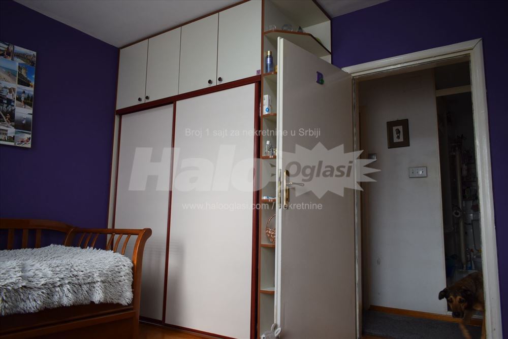 Sunčan porodični stan, škola i vrtić blizu — 9