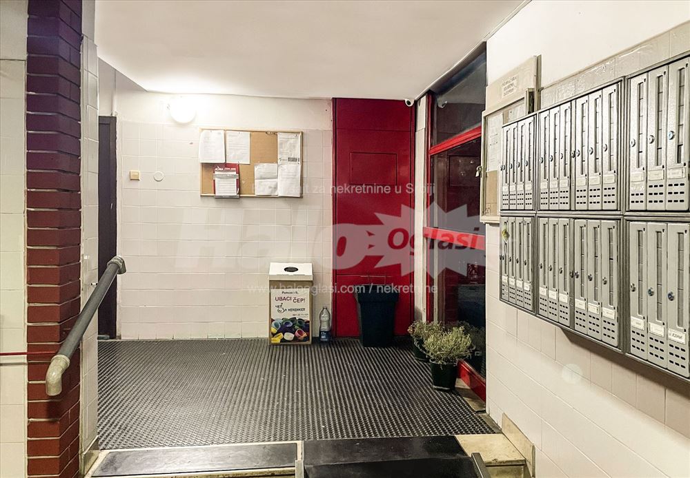 Sunny apartment close to all amenities — 15