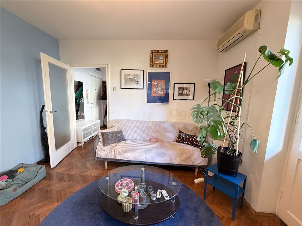 Tasmajdan Sunny Apartment in Park — 4