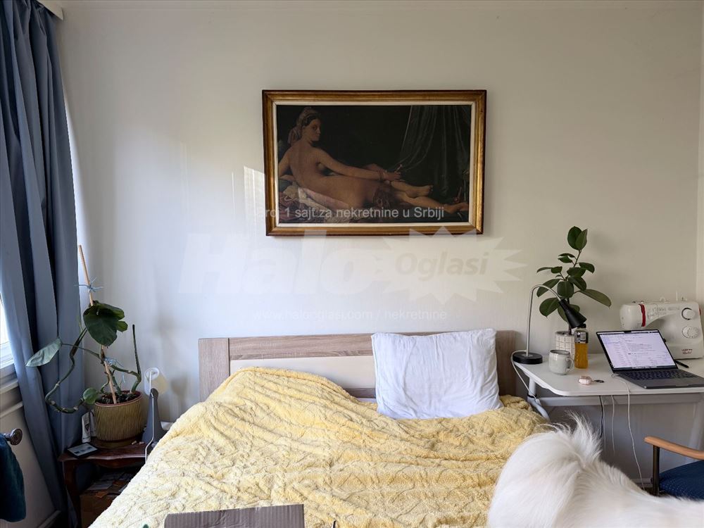 Tasmajdan Sunny Apartment in Park — 5
