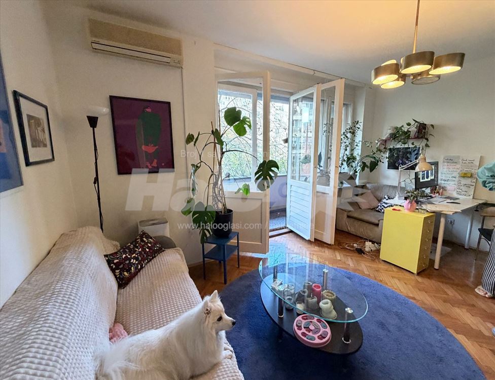 Tasmajdan Sunny Apartment in Park — 6