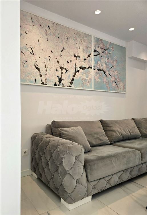 Topličin venac, lux opremljen stan, 50m² — 13