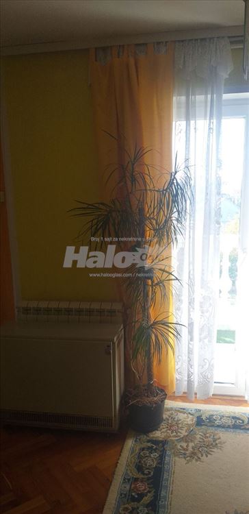 Trosoban stan u Žarkovu, odmah useljiv - povoljno — 10