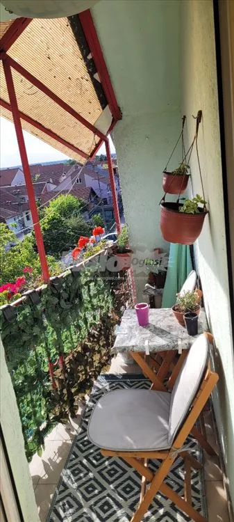 Uknjižen — 11
