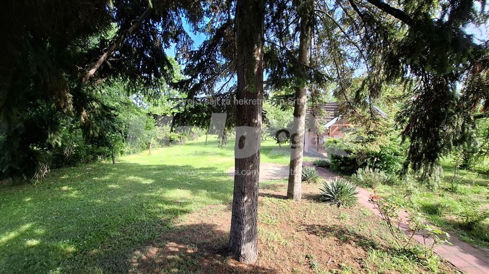 Uknjizena kuca na dva sprata sa 21 ar placa — 4