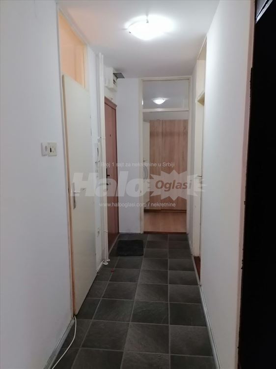 Šumice, 1,5 50m2, namešten — 5