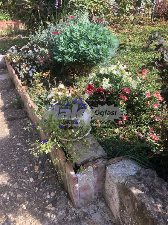 Šumski San sređen stan, Širi centar-Zvezdara, 35 m — 15