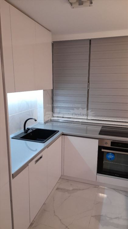 Ustanička, Šumice, lux — 8
