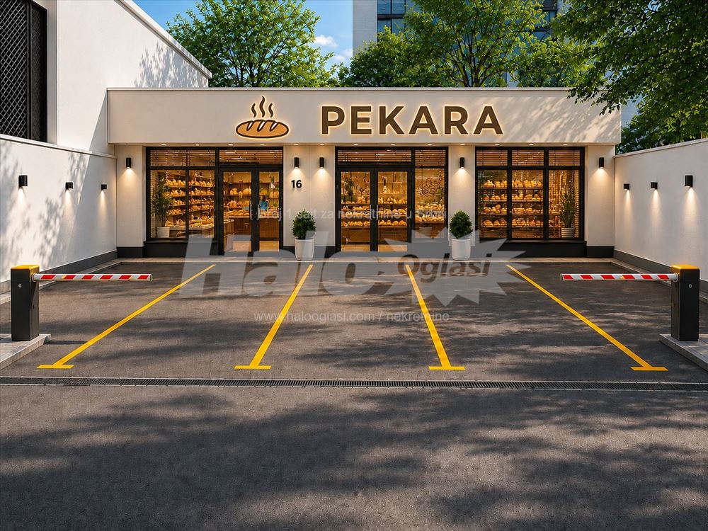 Veliki potencijal - Dimitrija Tucovića — 2