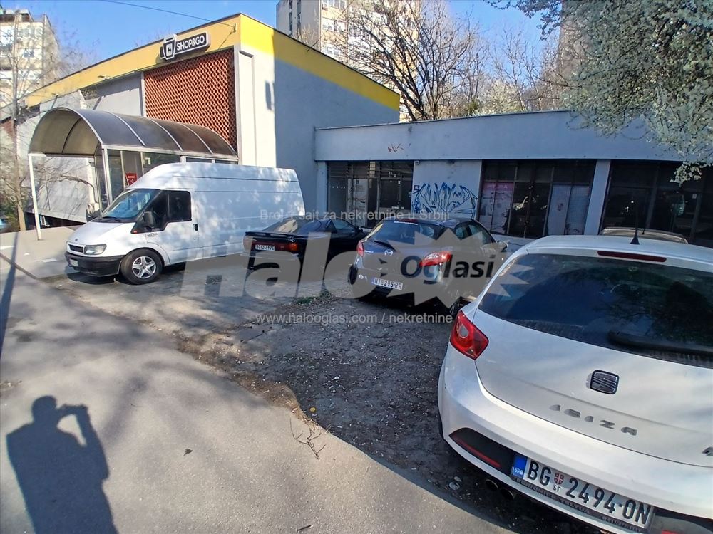 Veliki potencijal - Dimitrija Tucovića — 6