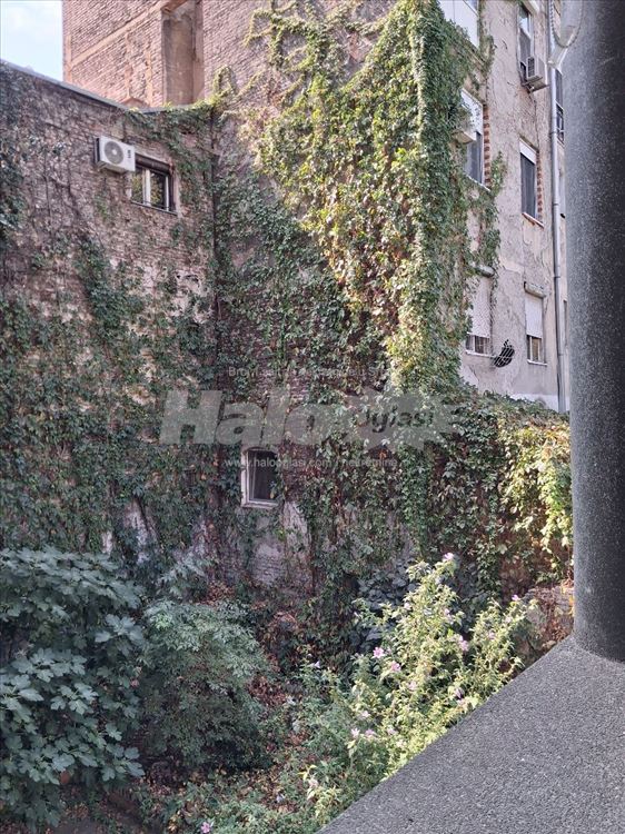 Veliki salonac na Kopitarevoj gradini — 15