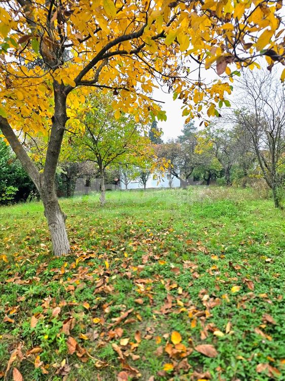 Kuća, Lisović, 17 ari, 100m2 — 6