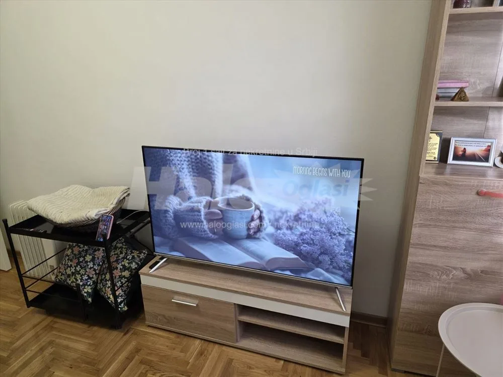 Vlasnik 1/1 prodaje prelep stan bez ulaganja! — 4