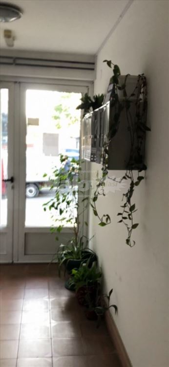 Vračar, 1.5 , sa garaznim mestom, vlasnik — 13