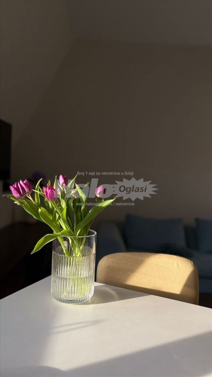 Vračar – šarmantan, svetao stan sa karakterom — 9