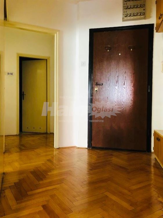 VRAČAR, Molerova ul.  izdaje vlasnik — 15