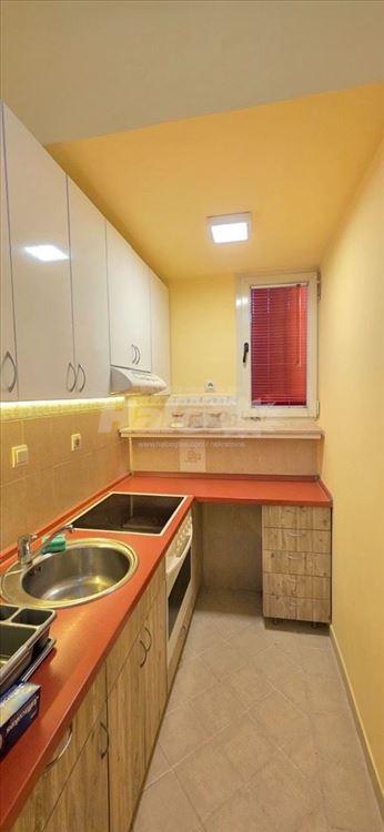 Vračar, salonac, tri sobe, dva kupatila, garaža — 11