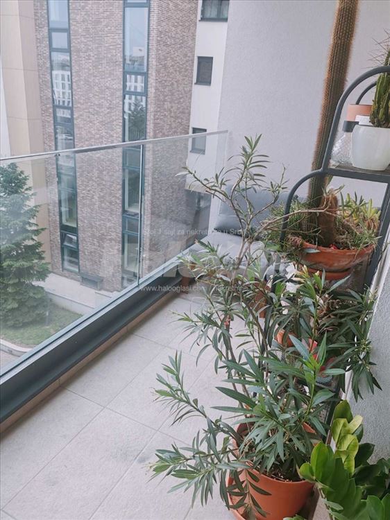 Vračar–Šumatovačka, 64 m², 3.0, kompletno namešten — 9