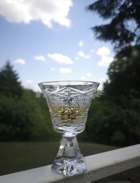 Uknjiženo 1/1 kuća Avala Vrčin raj ritrit mir tiho — 3