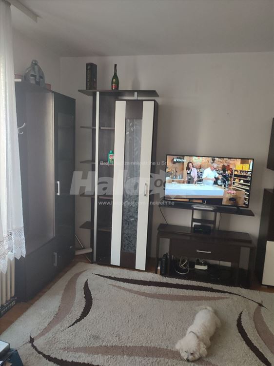 Zarkovo Ratka Mitrovica — 7