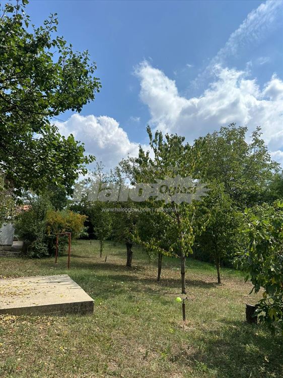 Zelena oaza kod Šuplje Stene - uknjiženo — 12