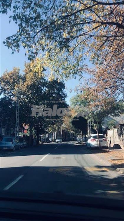 Zemun 1.5 — 11