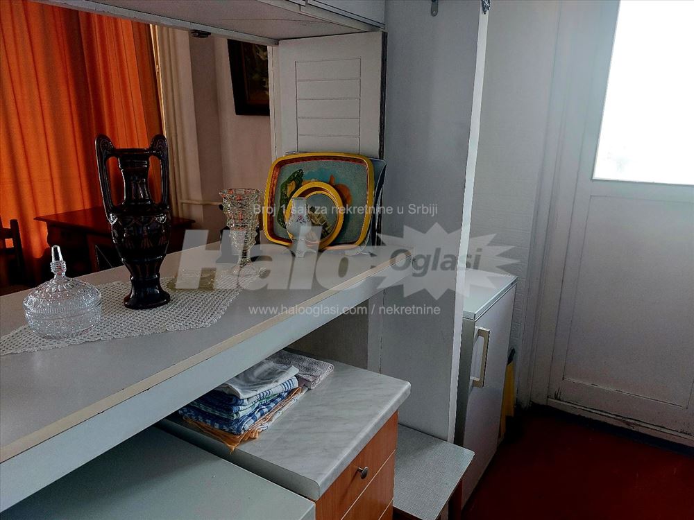 Zemun-Galenika, okružen zelenilom, svetao — 5