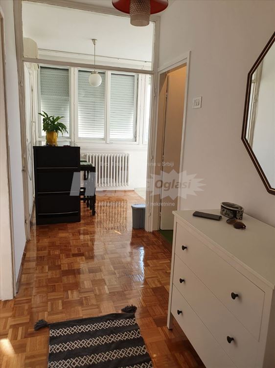 Zemun, Mica Radakovica, 1.0, renoviran, 42m2 — 3